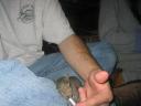 img_1955_m.jpg