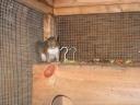 img_1992_m.JPG